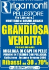 Rigamonti pellestore